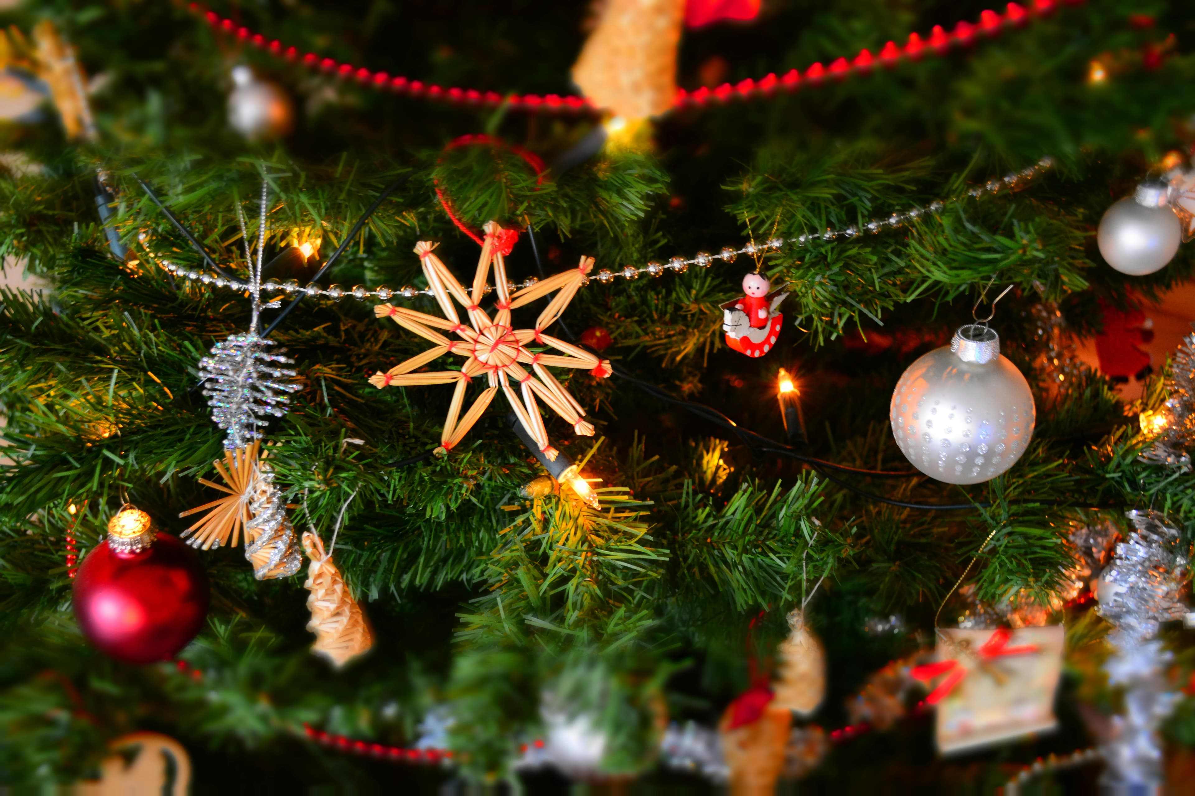 Holiday lights display at night